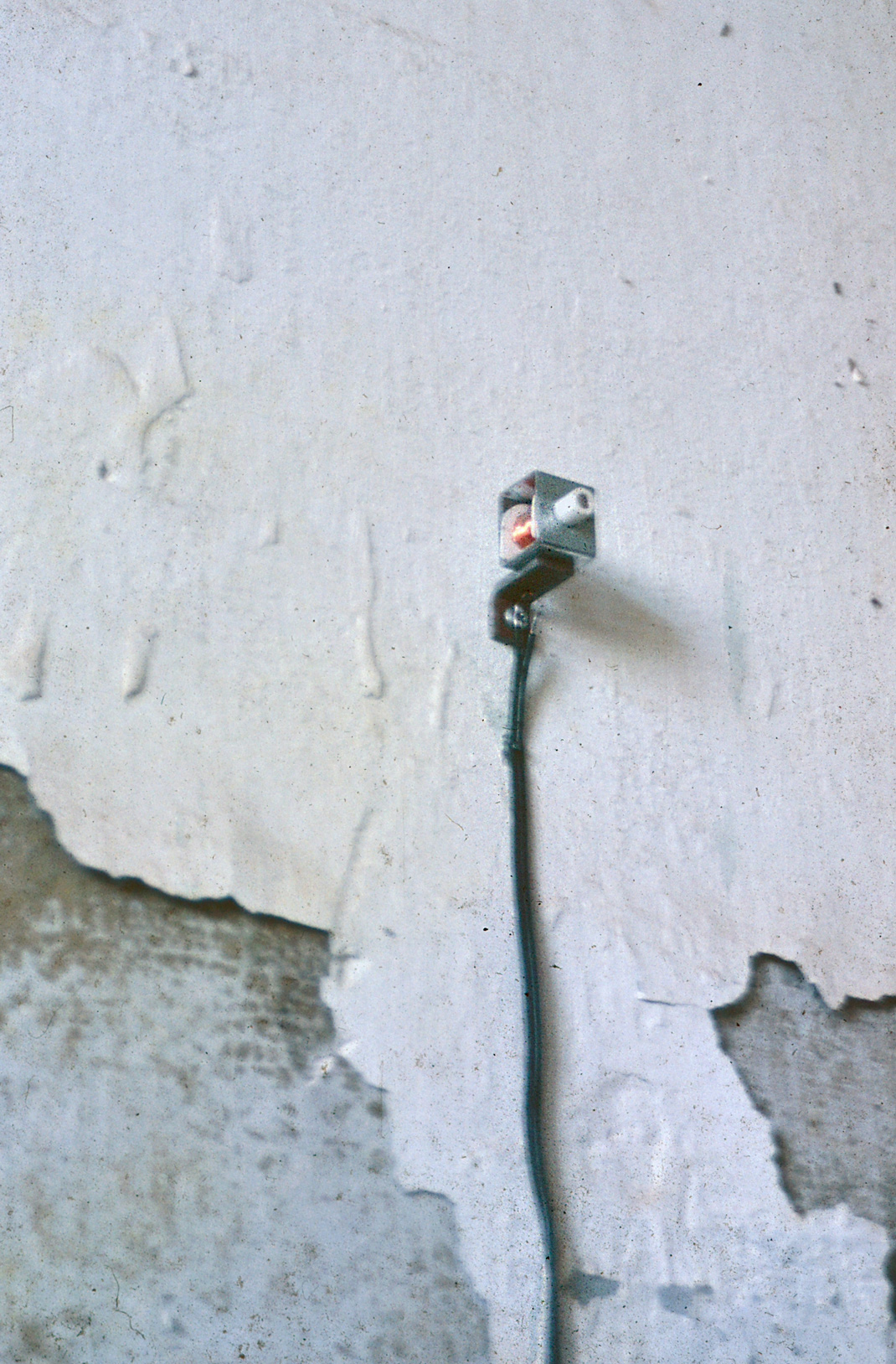 The Raven - an installation based on the poem by Edgar Allen Poe The Raven - an installation based on the poem by Edgar Allen Poe