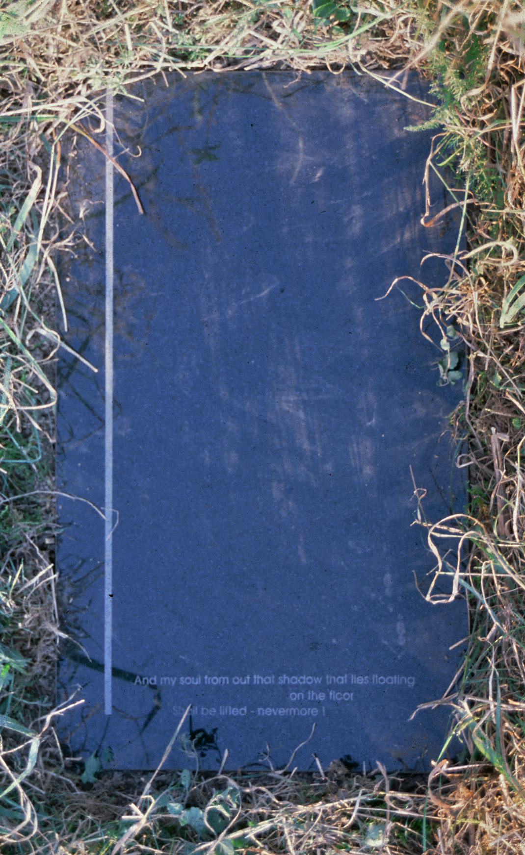 The Raven - resignation The Raven - resignation